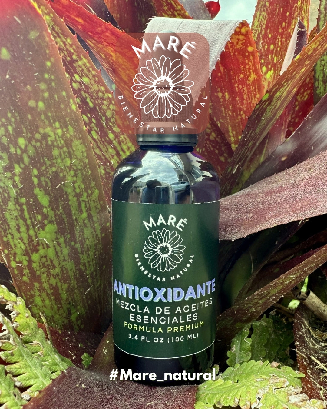 Antioxidante